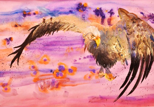 Зарицька Марія. Карпатський орел
