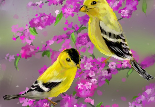 Наріжна Анна. Жовті птахи